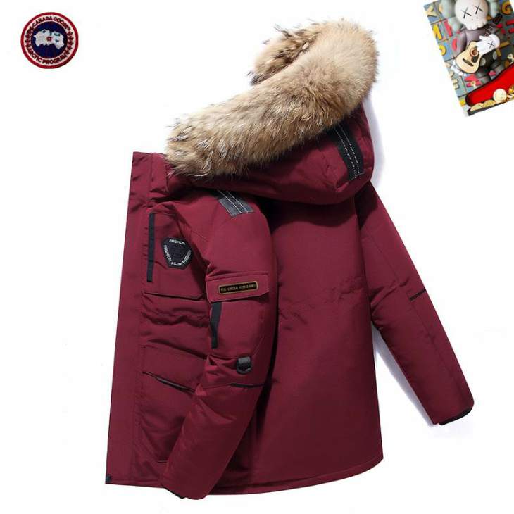 Picture of Canada Goose Down Jackets _SKUCanadaGooseM-3XL25tx0437925